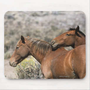 Tapis De Souris Contact sauvage de chevaux de mustang