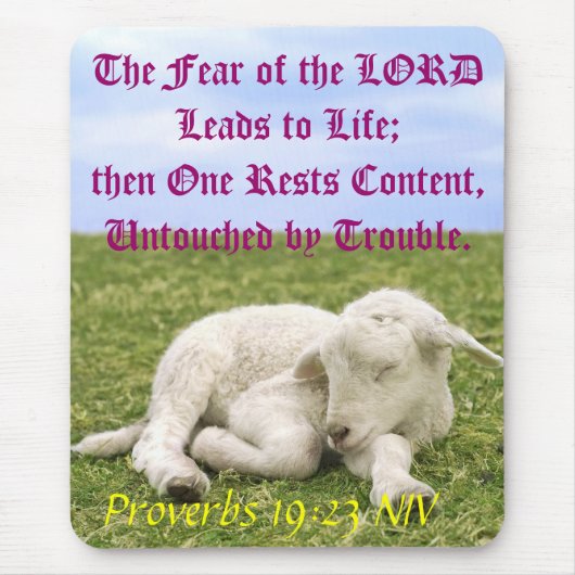 Tapis De Souris Contenu de repos. II (Devant)