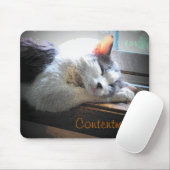 Tapis De Souris Contenu Dormir Kitty (Avec souris)