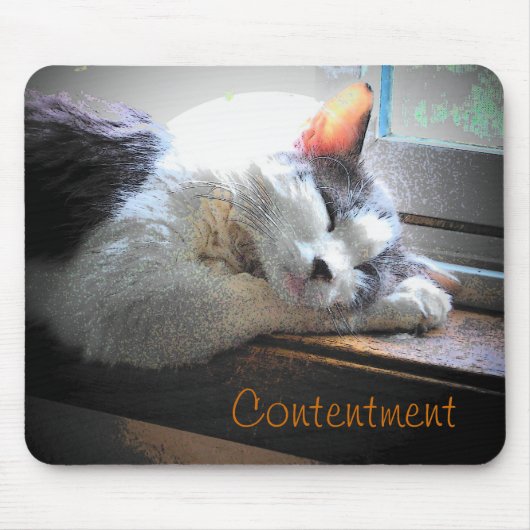 Tapis De Souris Contenu Dormir Kitty (Devant)