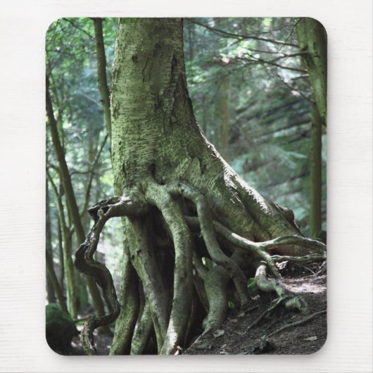 Tapis De Souris Continuer (Devant)
