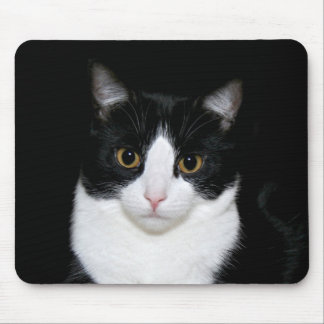 Tapis De Souris contraste