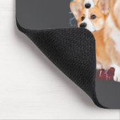 Tapis De Souris Contrefaçon Animaux Drôles Chien Chat De Compagnie (Coin)