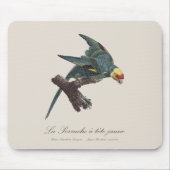 Tapis De Souris Conure de Caroline, Conuropsis carolinensis (Devant)