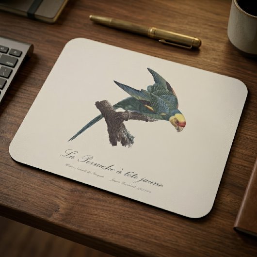 Tapis De Souris Conure de Caroline, Conuropsis carolinensis