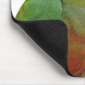 Tapis De Souris conure D'or-couvert (Coin)