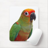 Tapis De Souris conure D'or-couvert (Avec souris)