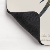 Tapis De Souris Conure soleil Aratinga solstitialis (Coin)