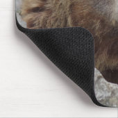 Tapis De Souris Cook bear (Coin)