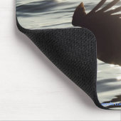 Tapis De Souris Cool Bald Eagle Wildlife Collection (Coin)