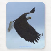 Tapis De Souris Cool Bald Eagle Wildlife Collection (Devant)