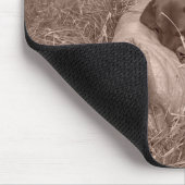 Tapis De Souris Coonhound Mousepad de Redbone (Coin)