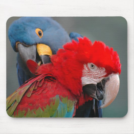 Tapis De Souris Coopération (Devant)