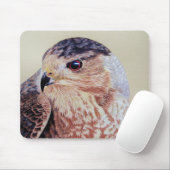Tapis De Souris Coopers Hawk (Avec souris)