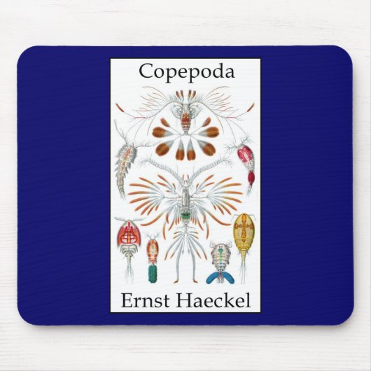 Tapis De Souris Copepoda par Ernst Haeckel (Devant)