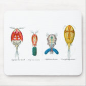 Tapis De Souris Copepods (Devant)