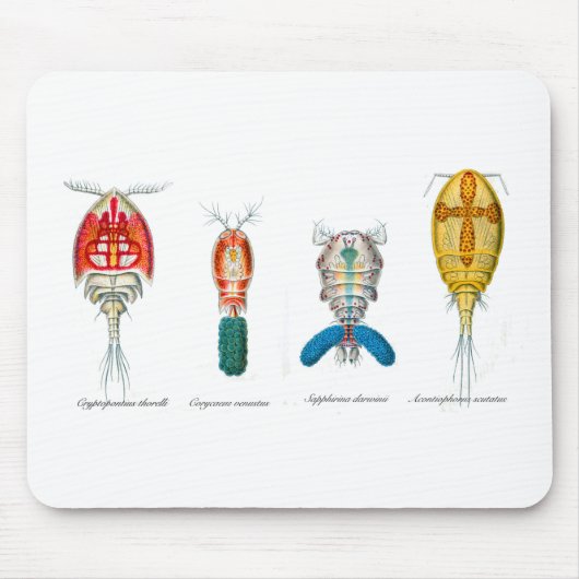 Tapis De Souris Copepods (Devant)