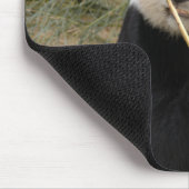 Tapis De Souris copie panda106 (Coin)