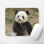 Tapis De Souris copie panda106 (Avec souris)
