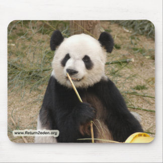 Tapis De Souris copie panda106