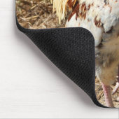 Tapis De Souris Coq ! (Coin)
