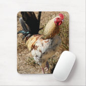 Tapis De Souris Coq ! (Avec souris)