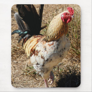 Tapis De Souris Coq !