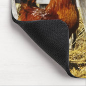 Tapis De Souris Coq Rhode Island Red (Coin)