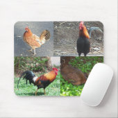 Tapis De Souris Coqs et poules Mousepad (Avec souris)
