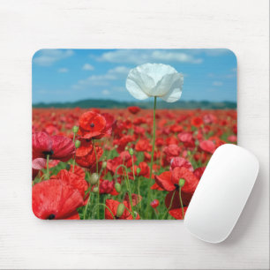 Tapis De Souris Coquelicot blanc isolé dans un champ de coquelicot