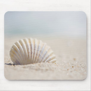 Tapis De Souris Coquillage de mollusque
