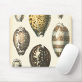 Tapis De Souris Coquillages De Forme Unique (Avec souris)