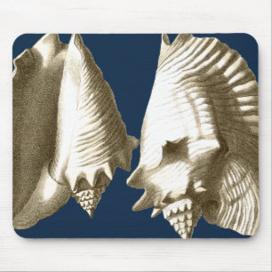 Tapis De Souris Coquillages Sepia Conch