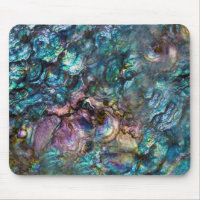 Coquille de l'ormeau iridescent arc-en-ciel