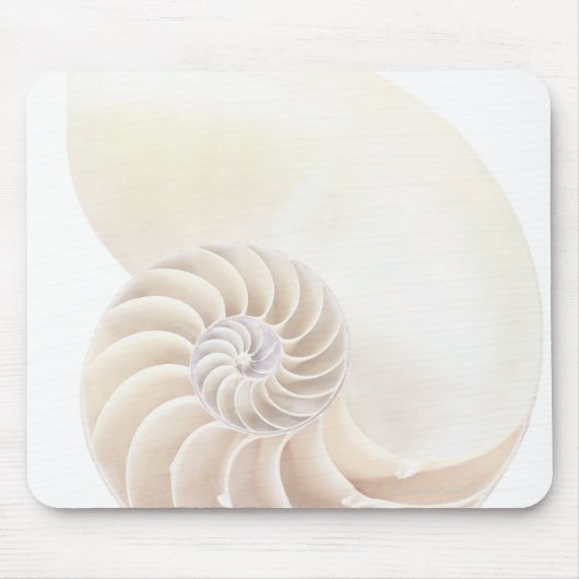 Tapis De Souris Coquille de Nautilus, gros plan (Devant)