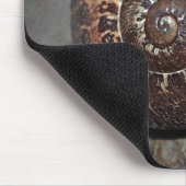 Tapis De Souris Coquille d'escargot (Coin)