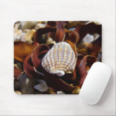 Tapis De Souris Coquille Sur Un Lit D'Algues (Avec souris)
