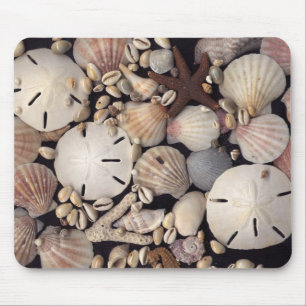 Tapis De Souris Coquilles