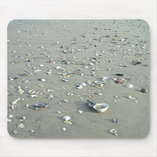Tapis De Souris Coquilles de mer à la plage impériale, la (Devant)