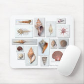 Tapis De Souris Coquilles sur le blanc (Avec souris)