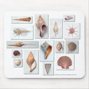 Tapis De Souris Coquilles sur le blanc