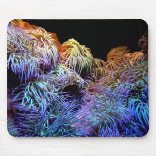 Tapis De Souris Corail bleu Mousepad (Devant)