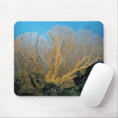 Tapis De Souris Corail de Gorgonian (Avec souris)