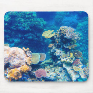 Tapis De Souris Corail de la Grande barrière de corail - #1