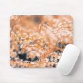 Tapis De Souris Corail gorgonien 2 (Avec souris)