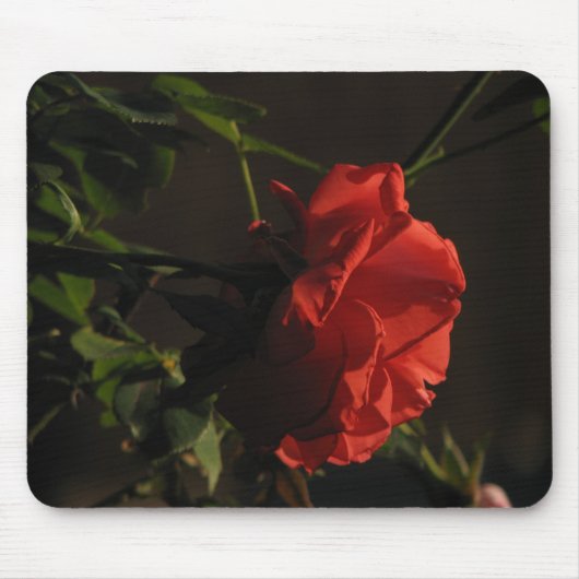 Tapis De Souris Corail Mousepad rose (Devant)