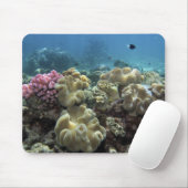 Tapis De Souris Corail, récif d'Agincourt, Grande barrière de cora (Avec souris)