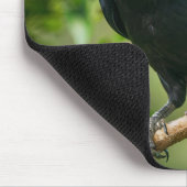 Tapis De Souris Corbeau sur une branche d'arbre (Coin)