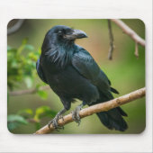 Tapis De Souris Corbeau sur une branche d'arbre (Devant)