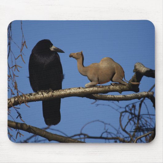 Tapis De Souris Corbeau surpris (Devant)